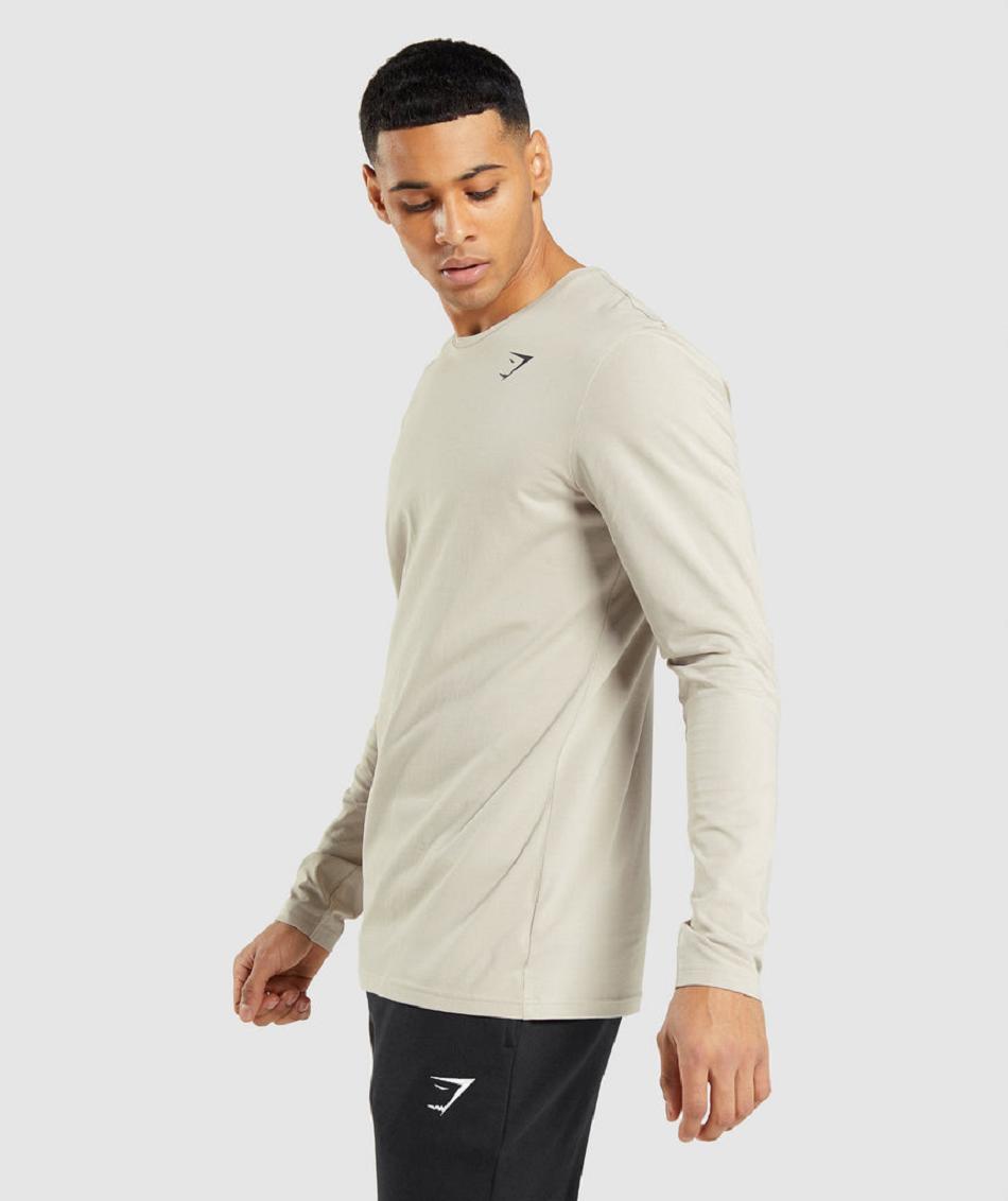 Long Sleeve Męskie Gymshark Essential Szare | PL 3666DFM